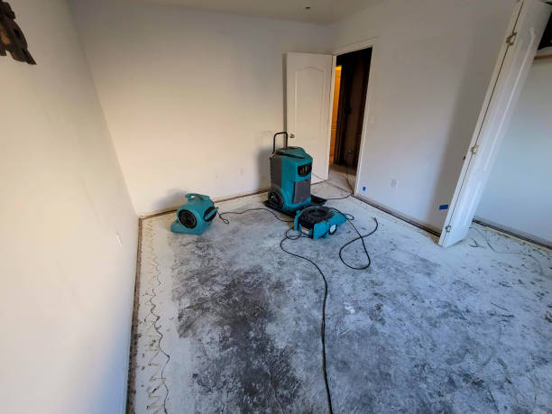 Best 24-hour water damage restoration  in Lakeside, FL
