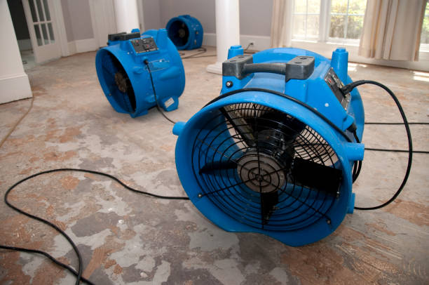 Lakeside, FL Water damage restoration Pros