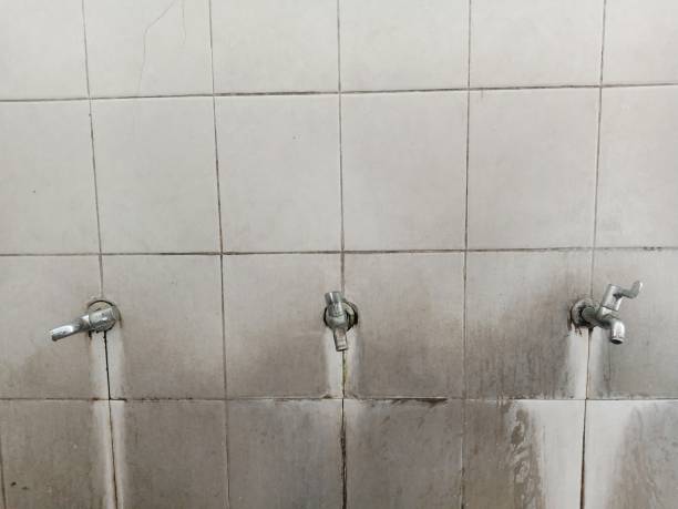 Best Water damage restoration insurance claims  in Lakeside, FL